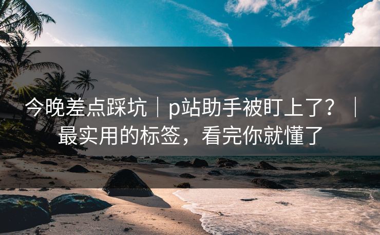 今晚差点踩坑｜p站助手被盯上了？｜最实用的标签，看完你就懂了