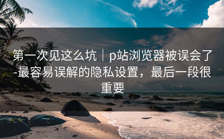 第一次见这么坑|p站浏览器被误会了-最容易误解的隐私设置,最后一段很重要 第一次见这么坑|p站浏览器被误会了-最容易误解的隐私设置,最后一段很重要