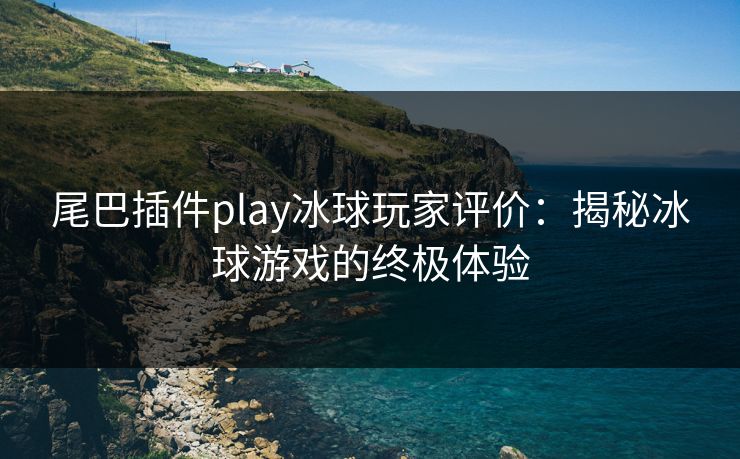 尾巴插件play冰球玩家评价：揭秘冰球游戏的终极体验