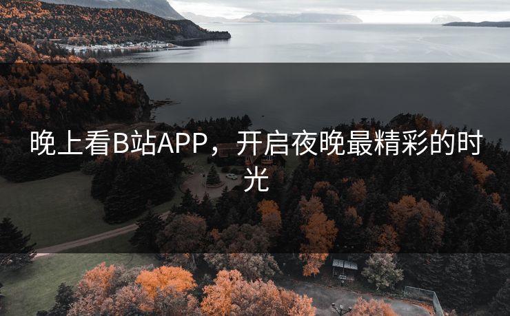 晚上看B站APP，开启夜晚最精彩的时光